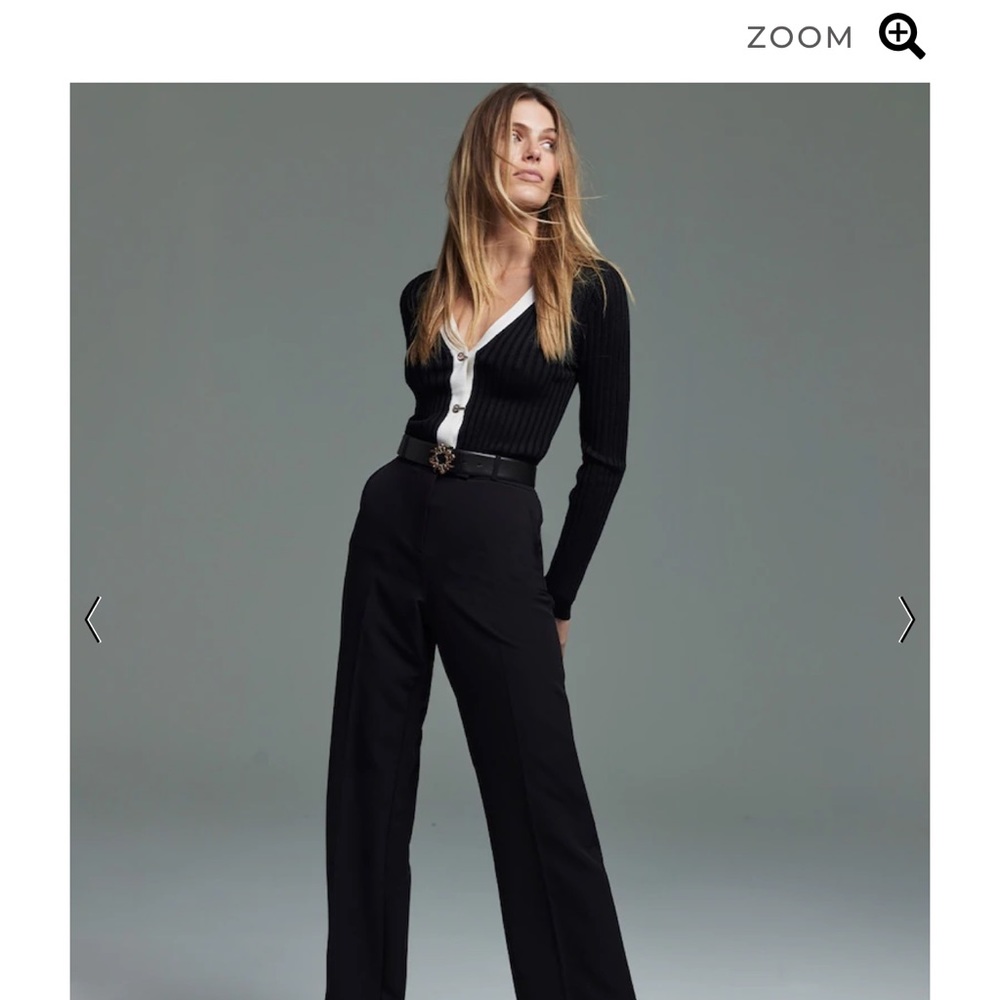 White House Black Market Luna Wide Leg Pants